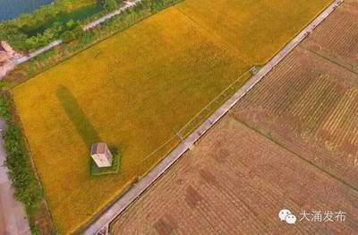 不用自己動手，你也可以擁有自己的田塊和土雞！